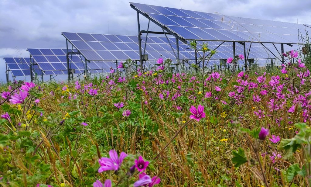 Innovazione contrattuale nell’energia solare: PPA con esclusione selettiva del periodo di fornitura